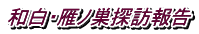 aEmTK